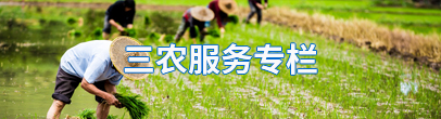 三農服務專欄